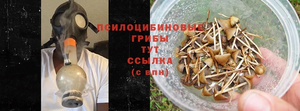 COCAINE Белокуриха