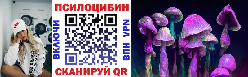 дарнет шоп  Лыткарино  Псилоцибиновые грибы Magic Shrooms 